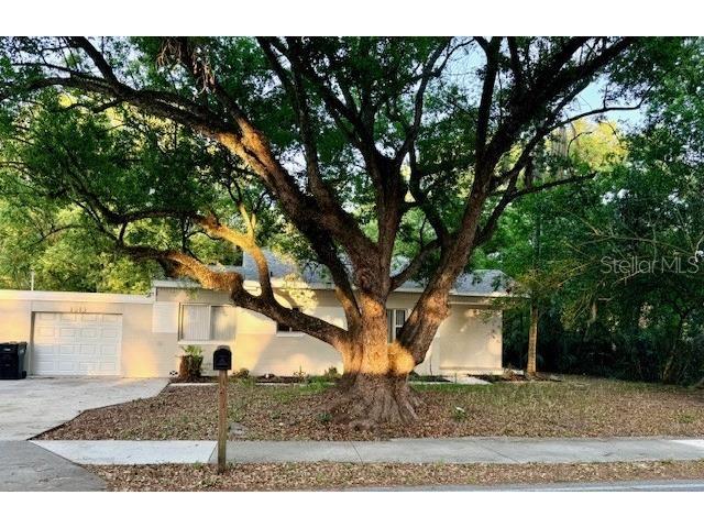 1513 Renee Avenue Orlando FL 32825 S5141332 image2