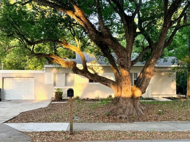 1513 Renee Avenue Orlando FL 32825 S5141332 image4