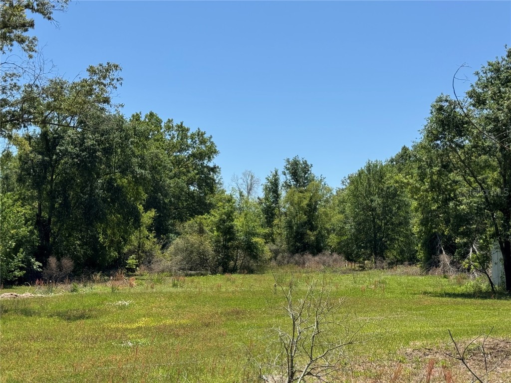 15130 N 104th Street Live Oak FL 32060 TB8378561 image19