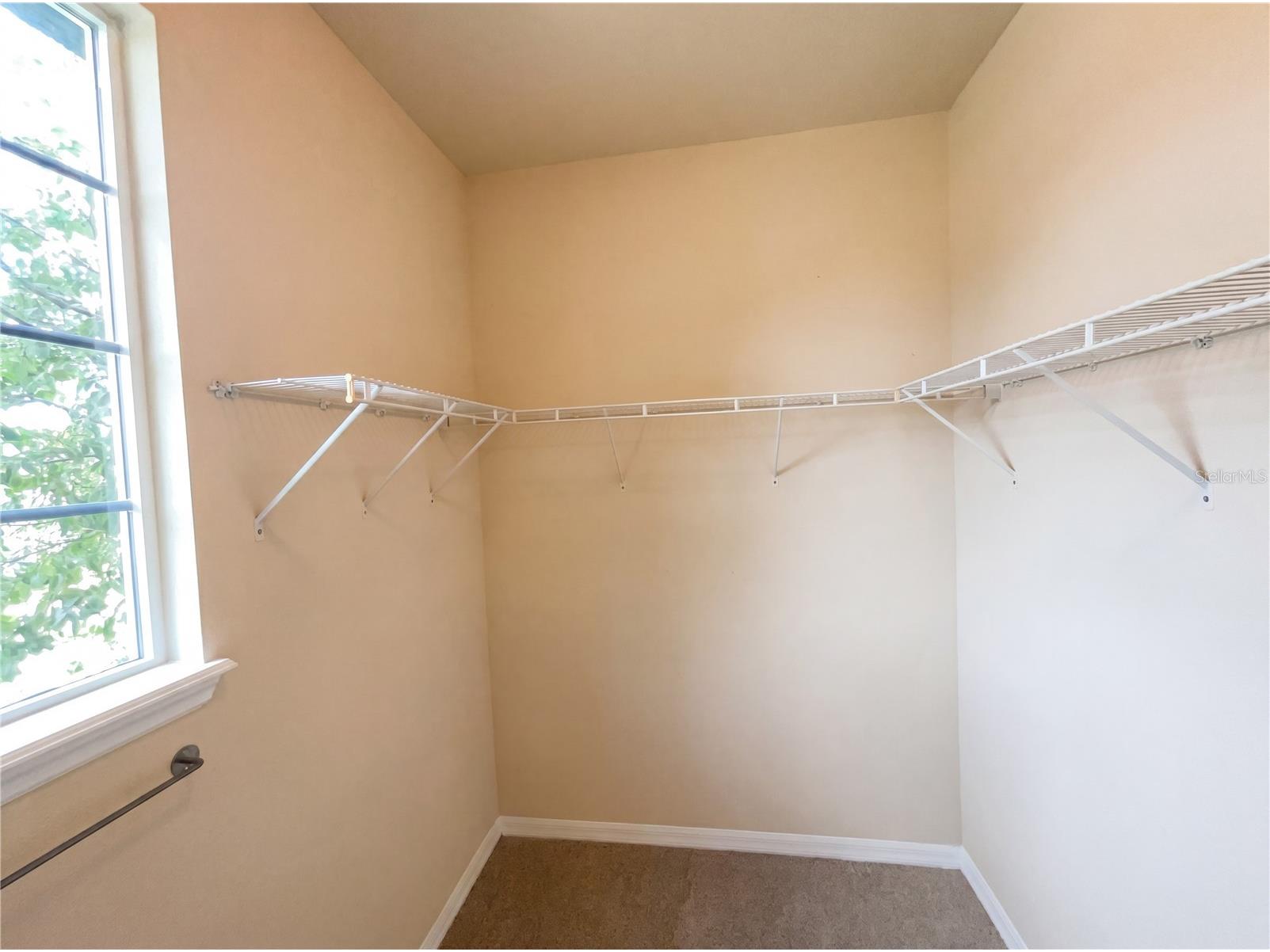 15130 Ovation Drive Winter Garden FL 34787 O6413647 image46