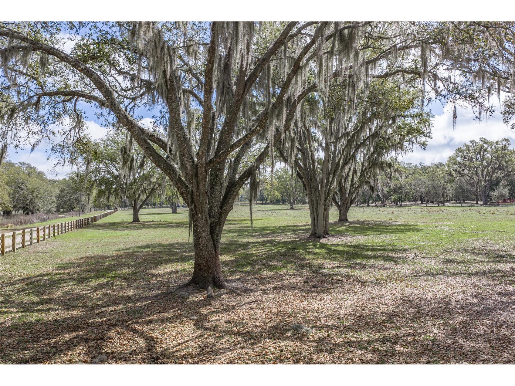 15131 Bellamy Brothers Boulevard Dade City FL 33525 TB8486036 image84