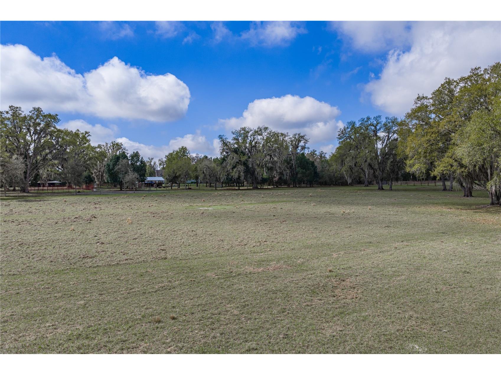 15131 Bellamy Brothers Boulevard Dade City FL 33525 TB8486036 image85