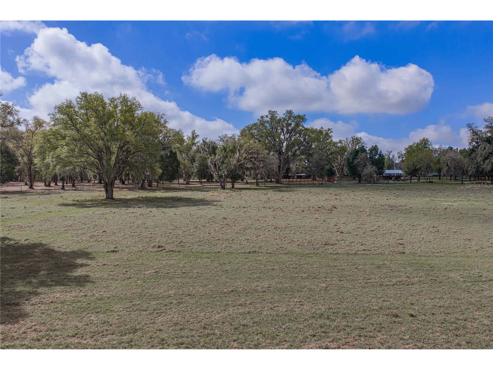 15131 Bellamy Brothers Boulevard Dade City FL 33525 TB8486036 image86