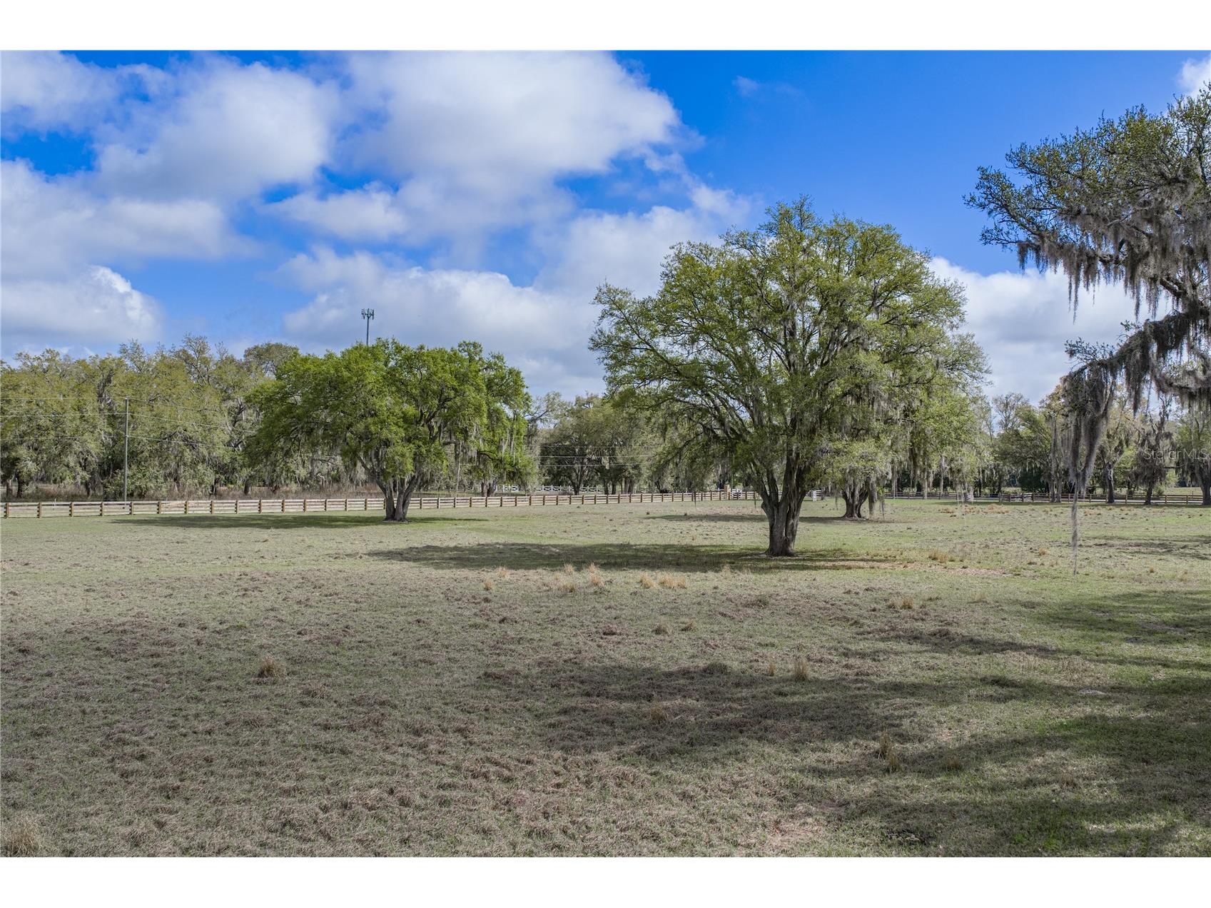 15131 Bellamy Brothers Boulevard Dade City FL 33525 TB8486036 image87