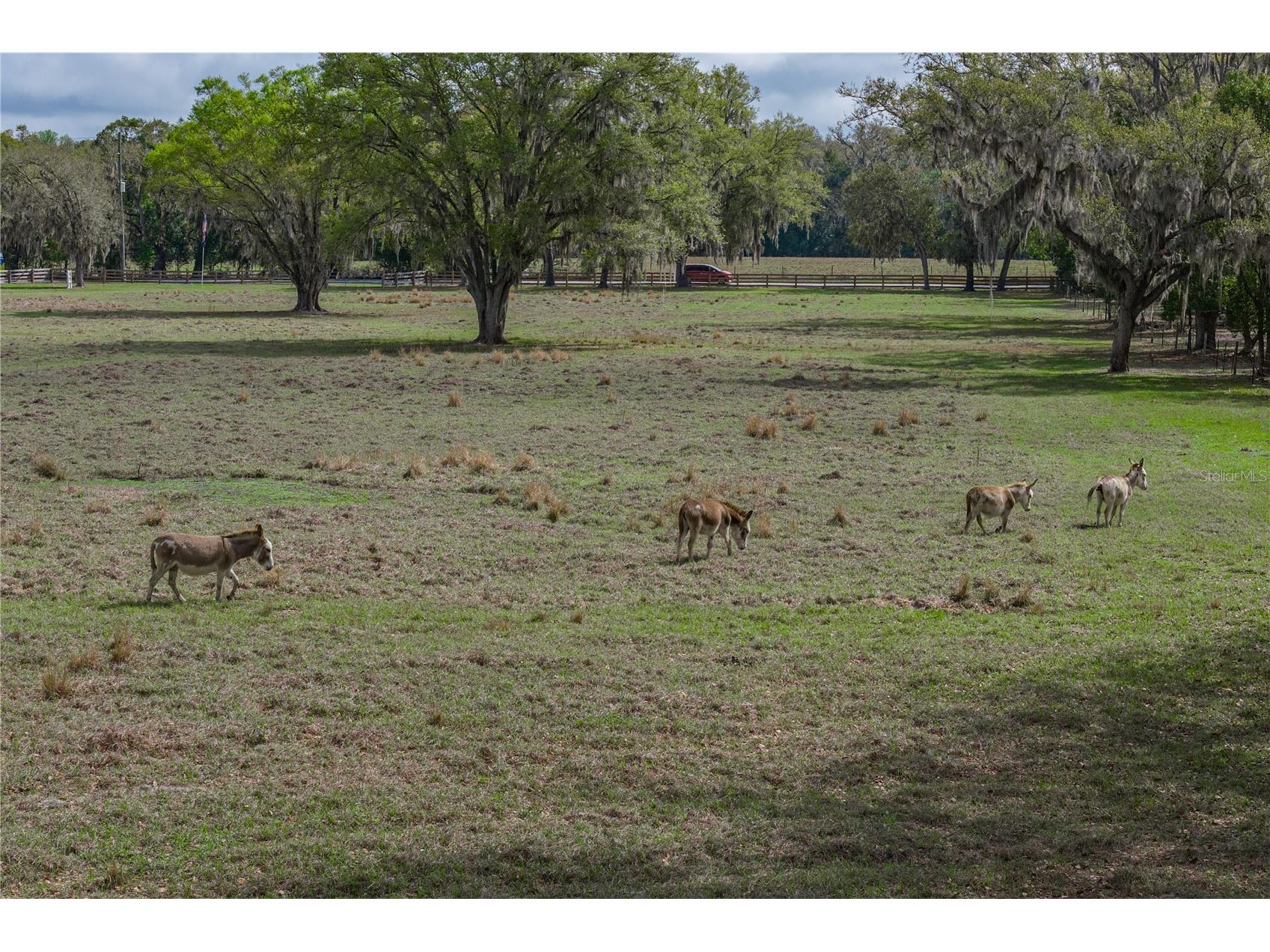 15131 Bellamy Brothers Boulevard Dade City FL 33525 TB8486036 image88
