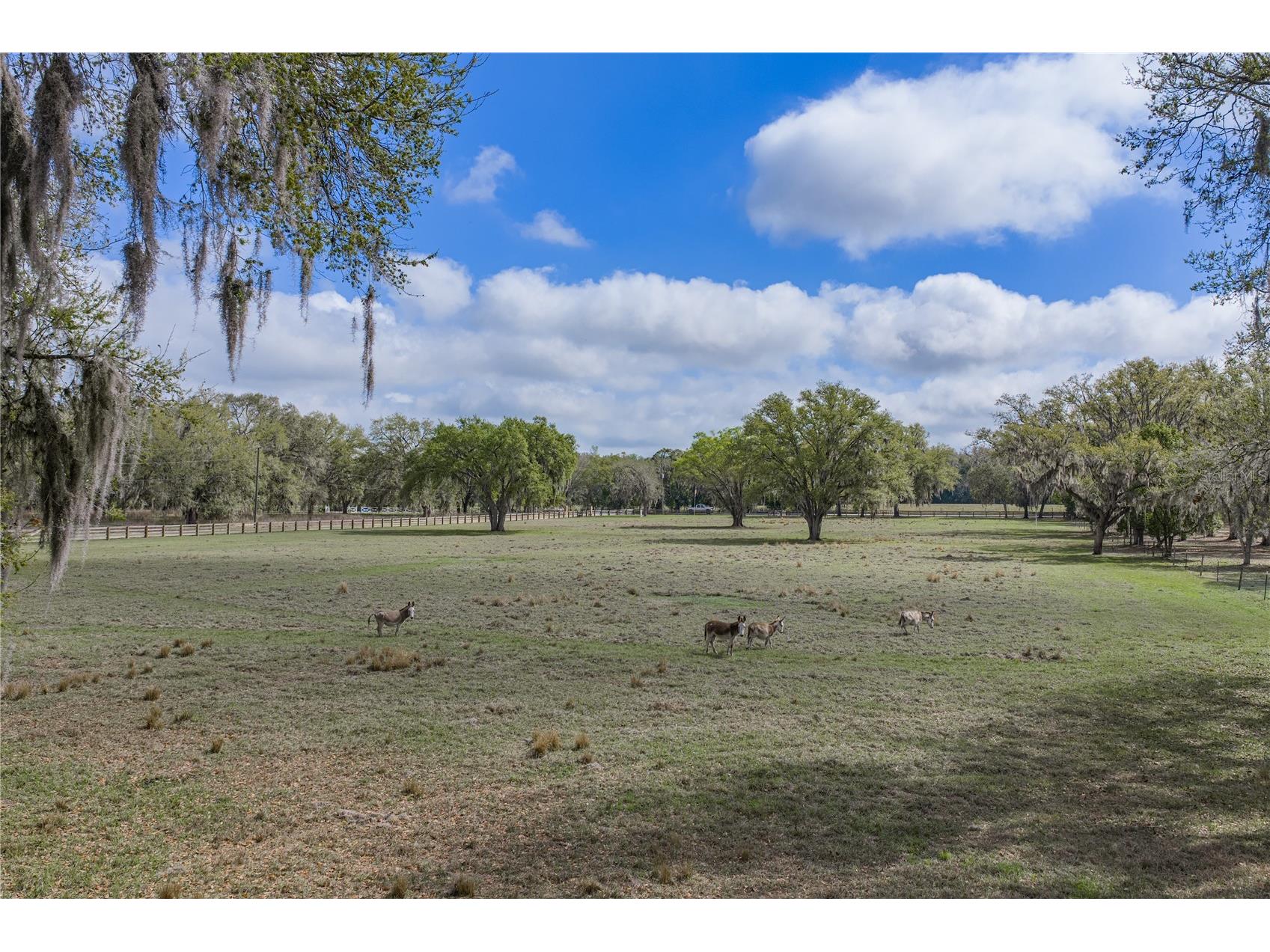 15131 Bellamy Brothers Boulevard Dade City FL 33525 TB8486036 image89