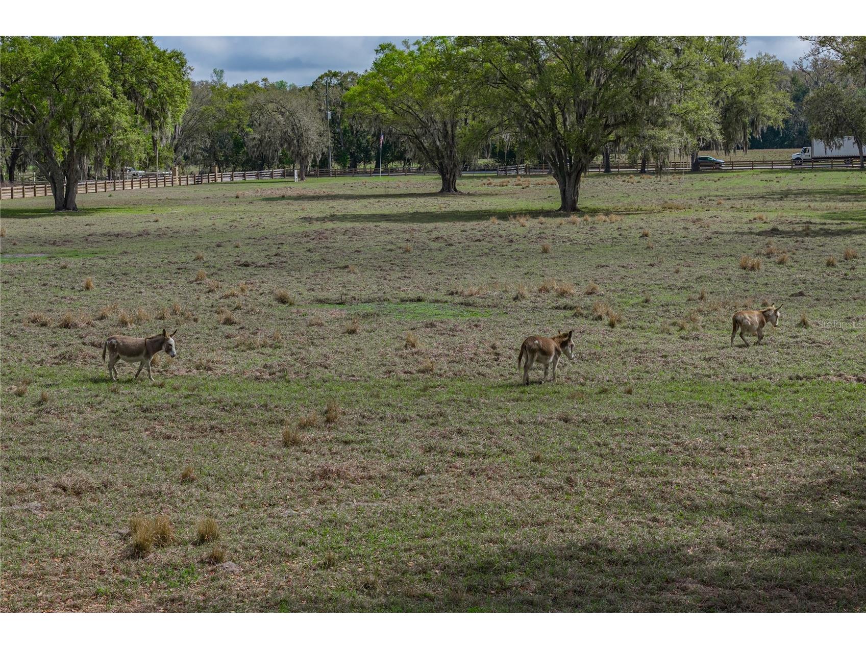 15131 Bellamy Brothers Boulevard Dade City FL 33525 TB8486036 image90
