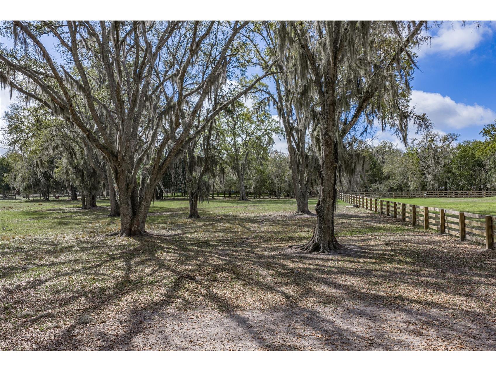 15131 Bellamy Brothers Boulevard Dade City FL 33525 TB8486036 image91