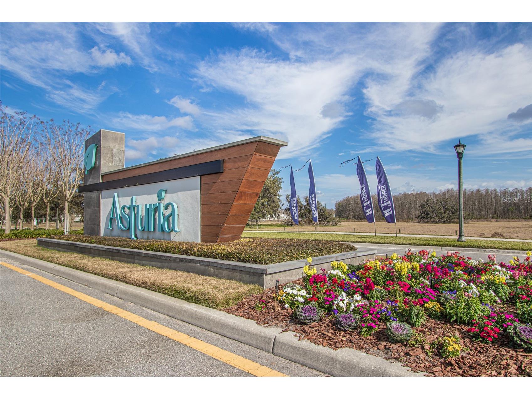 15133 Caravan Avenue Odessa FL 33556 TB8466444 image31