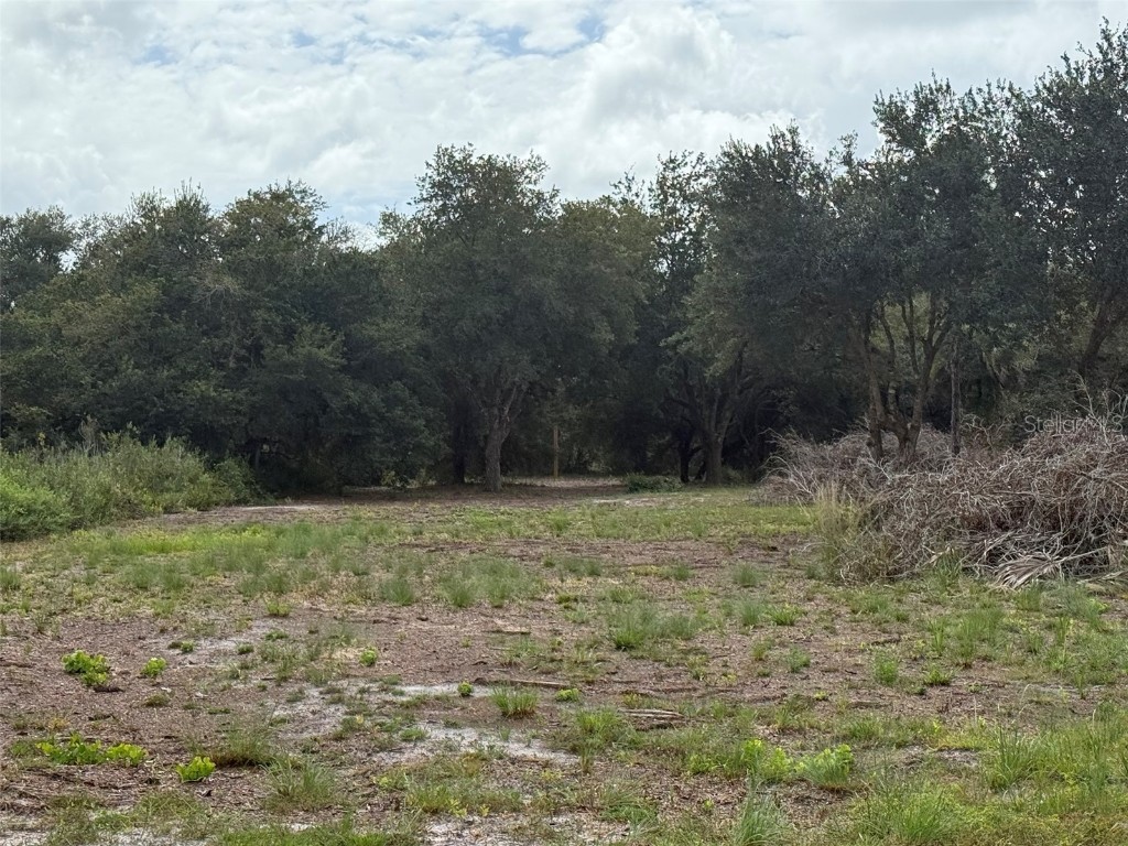 15134 NW 306th Street Okeechobee FL 34972 OK225606 image4