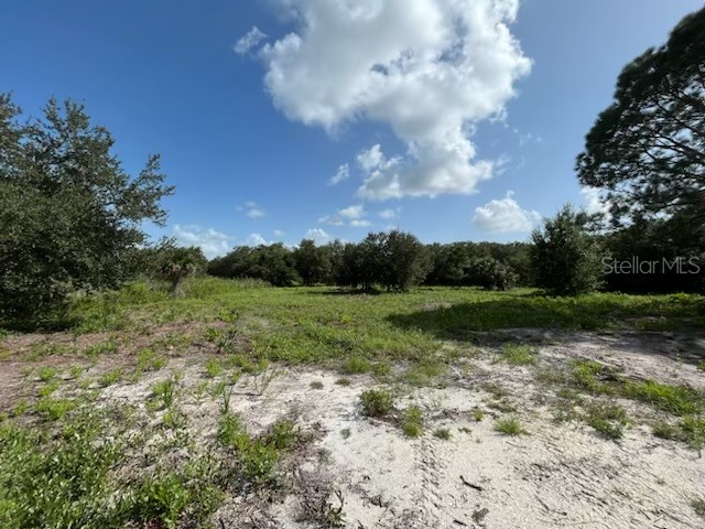 15134 NW 306th Street Okeechobee FL 34972 OK225606 image8