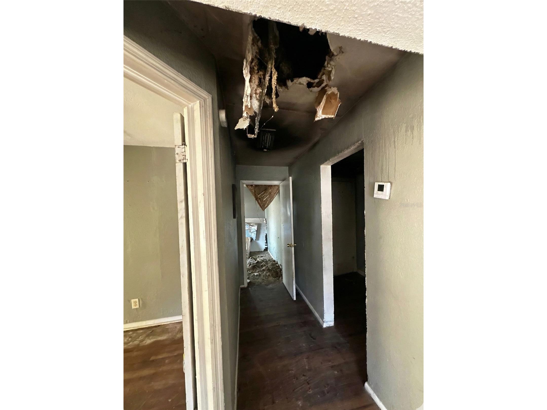 1514 E 99th Avenue Tampa FL 33612 TB8451170 image8