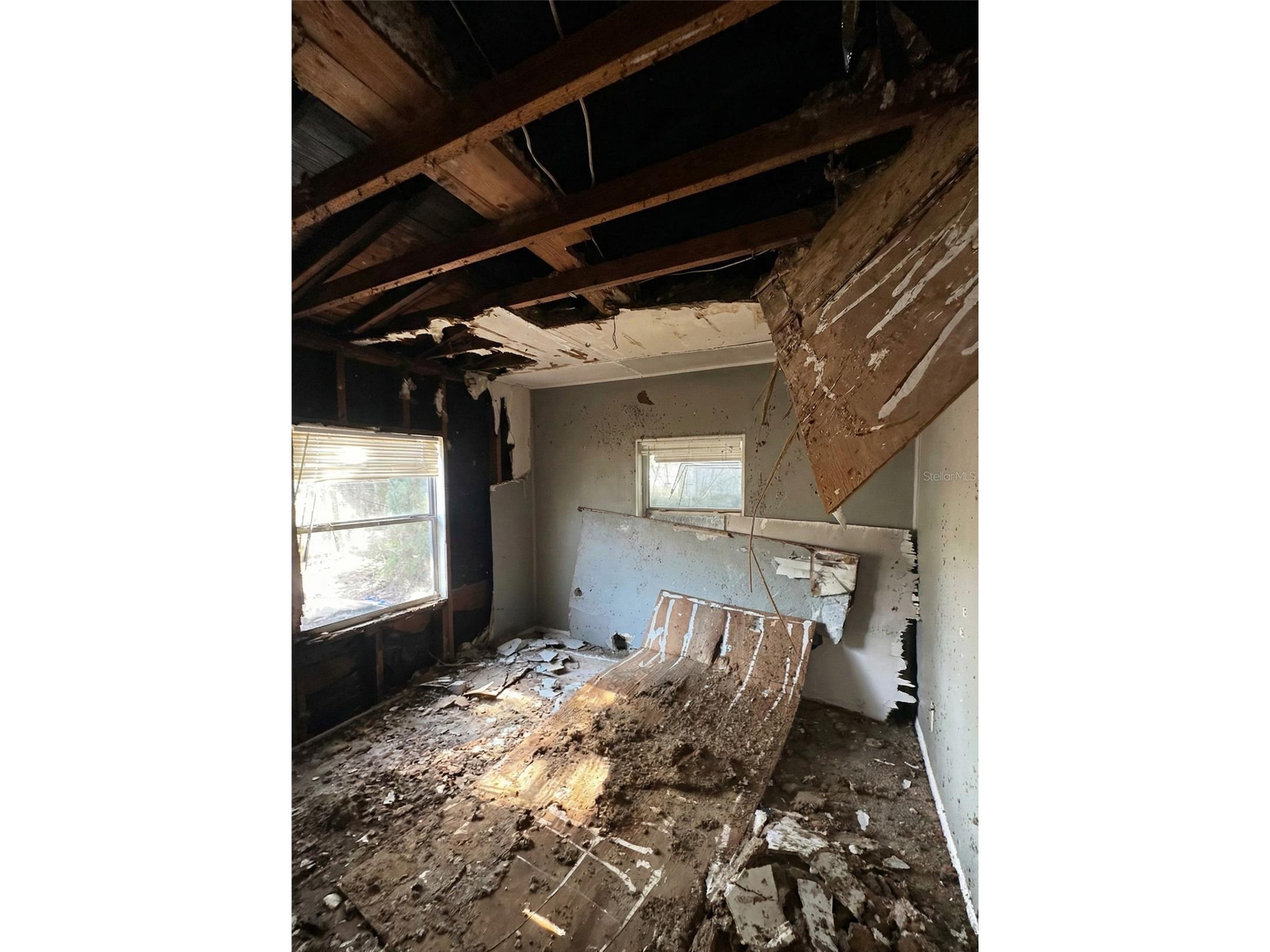 1514 E 99th Avenue Tampa FL 33612 TB8451170 image9