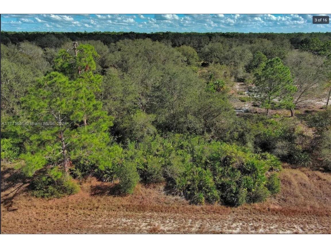 1514 Poinsettia Avenue Lehigh Acres FL 33972 O6344883 image3