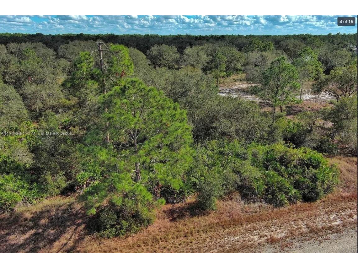 1514 Poinsettia Avenue Lehigh Acres FL 33972 O6344883 image4