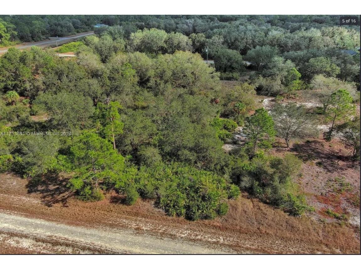 1514 Poinsettia Avenue Lehigh Acres FL 33972 O6344883 image5