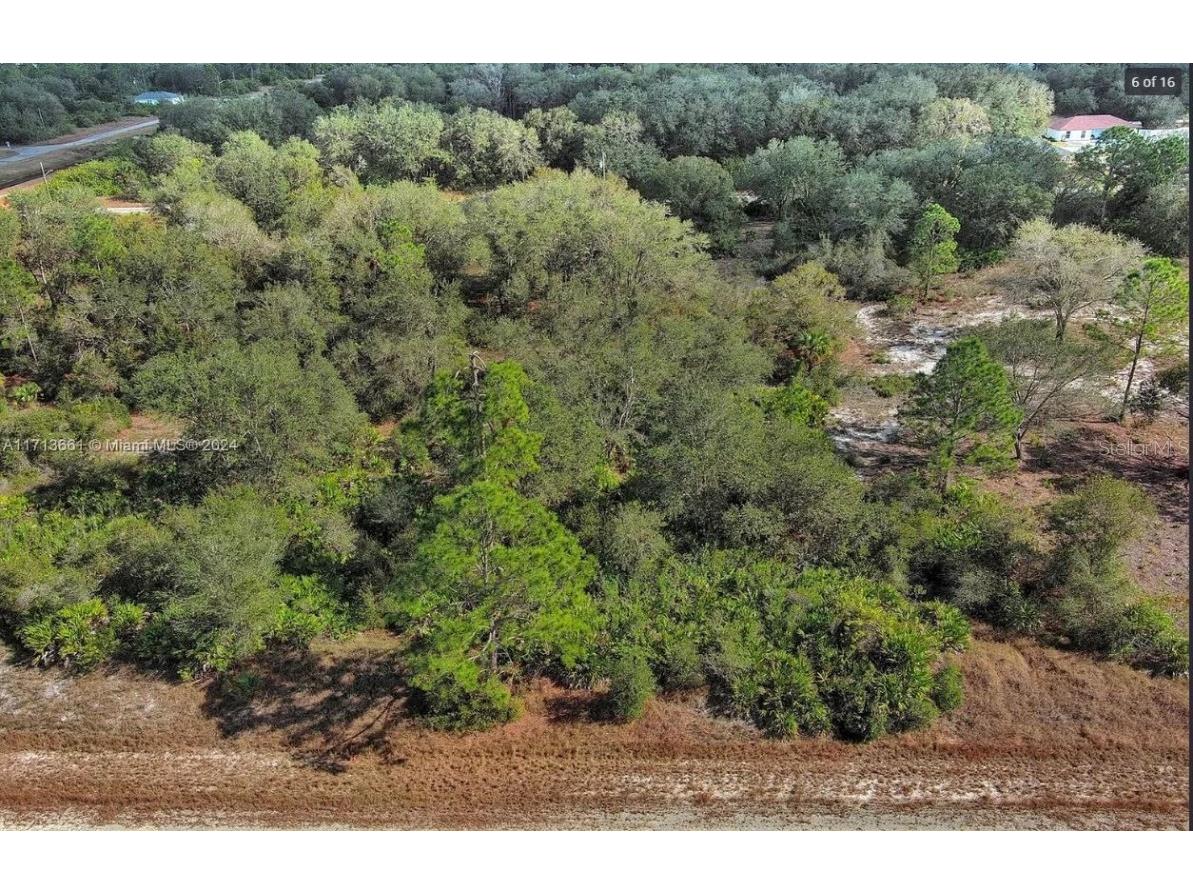 1514 Poinsettia Avenue Lehigh Acres FL 33972 O6344883 image6