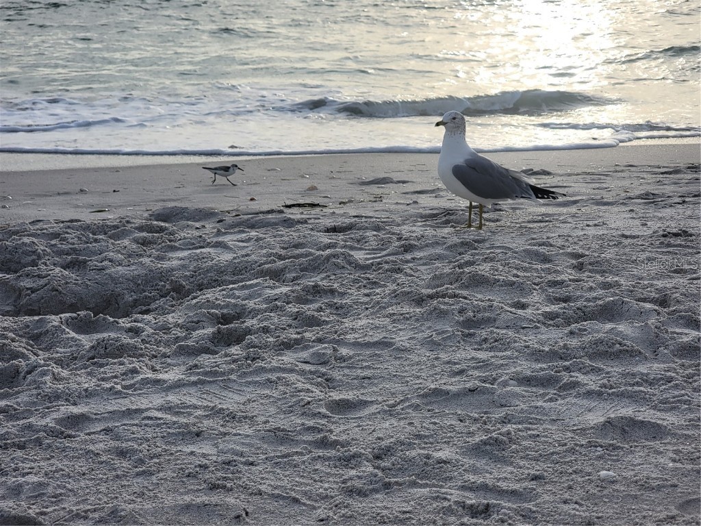 15140 Lyneburg Avenue Port Charlotte FL 33981 N6139658 image73