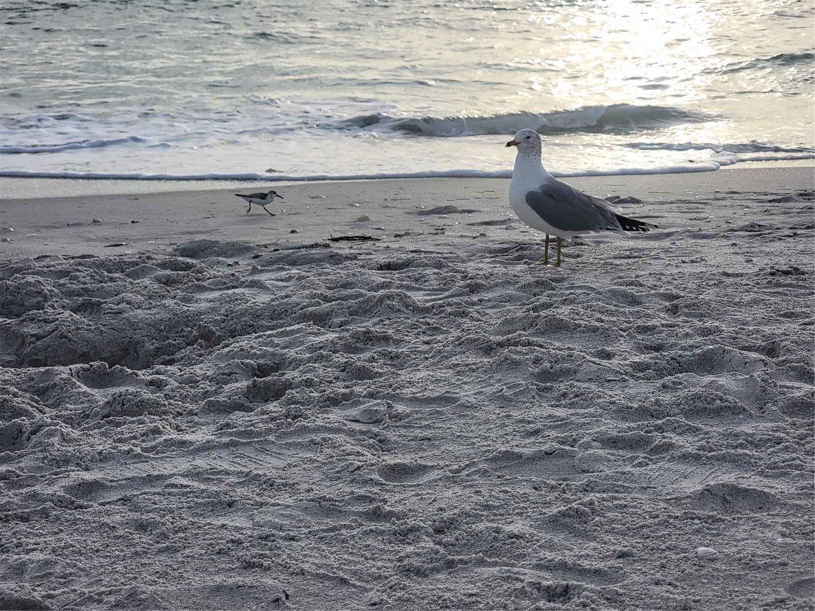 15140 Lyneburg Avenue Port Charlotte FL 33981 N6139658 image86