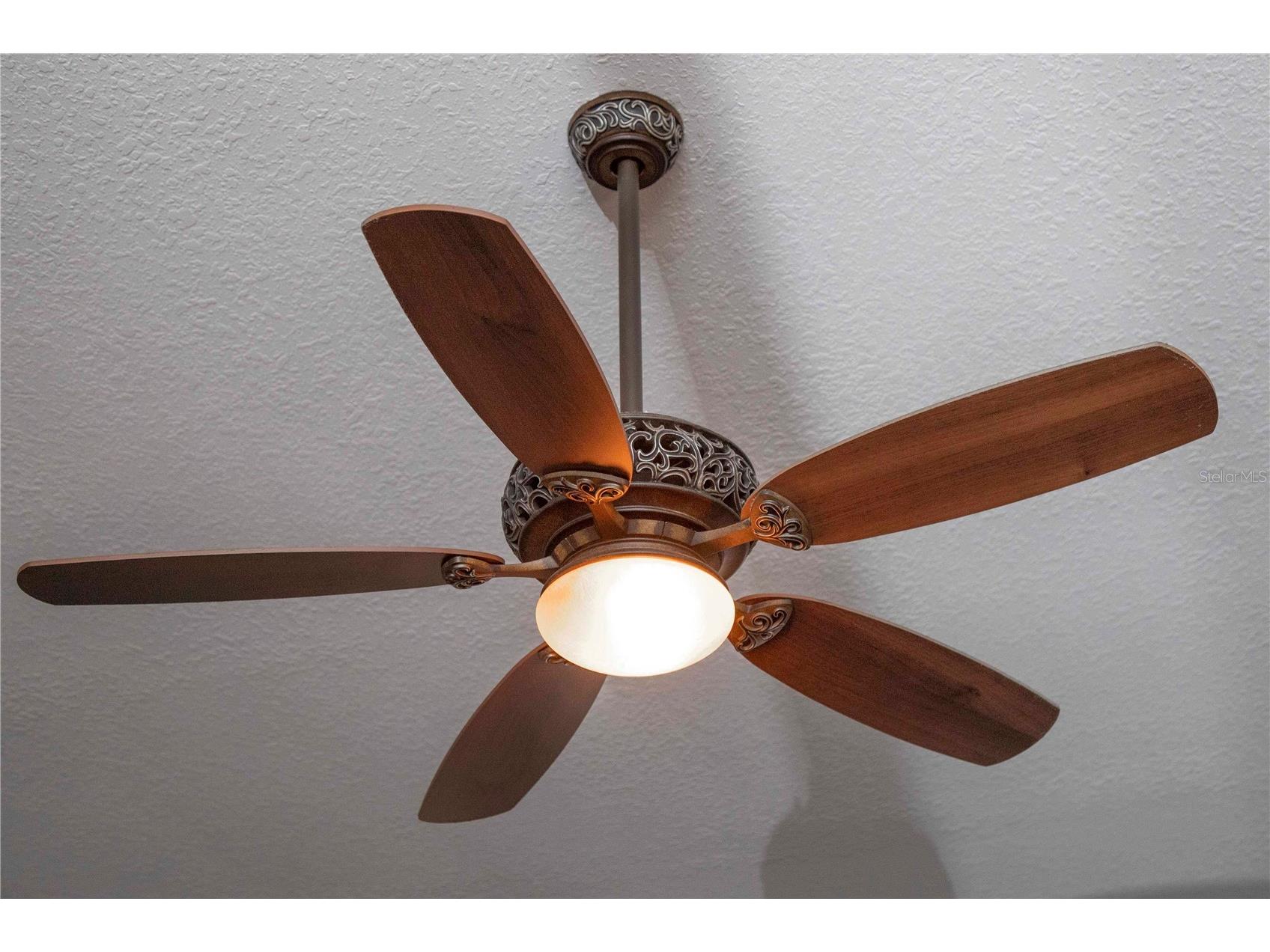 15141 Azra Drive Odessa FL 33556 W7885694 image11