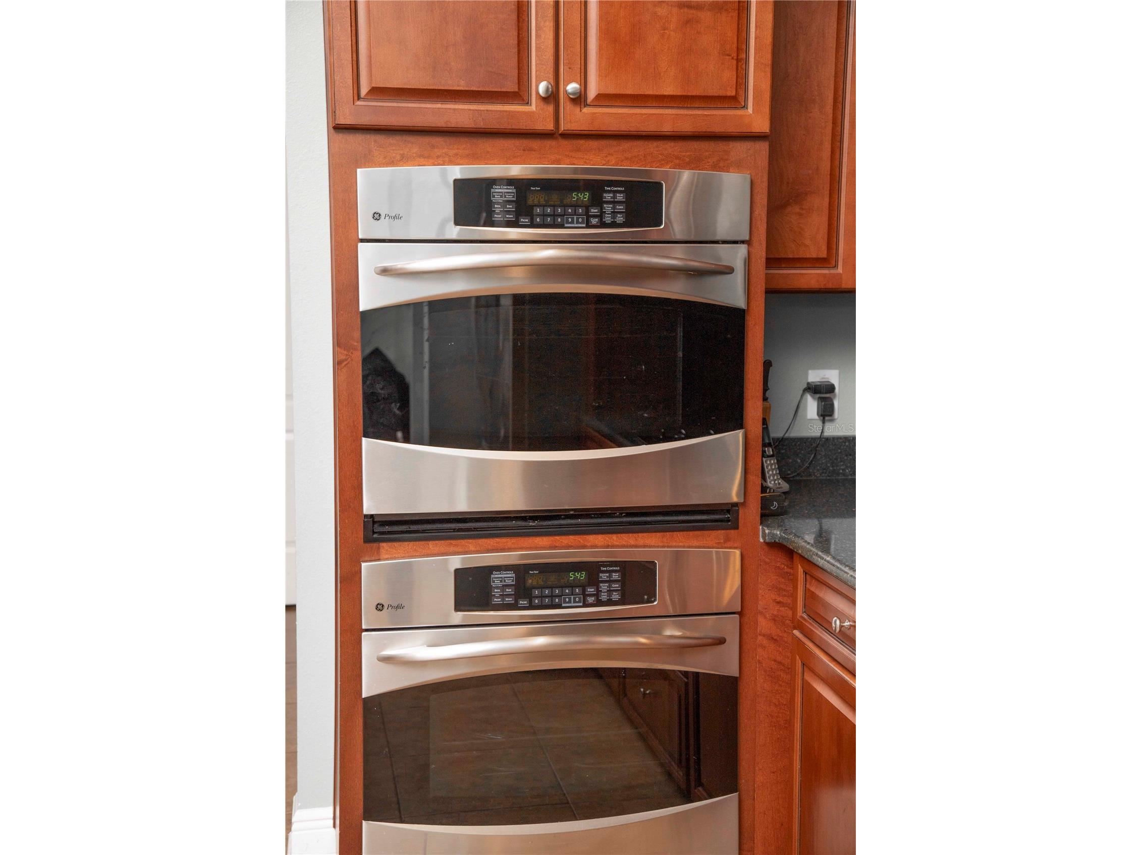 15141 Azra Drive Odessa FL 33556 W7885694 image16