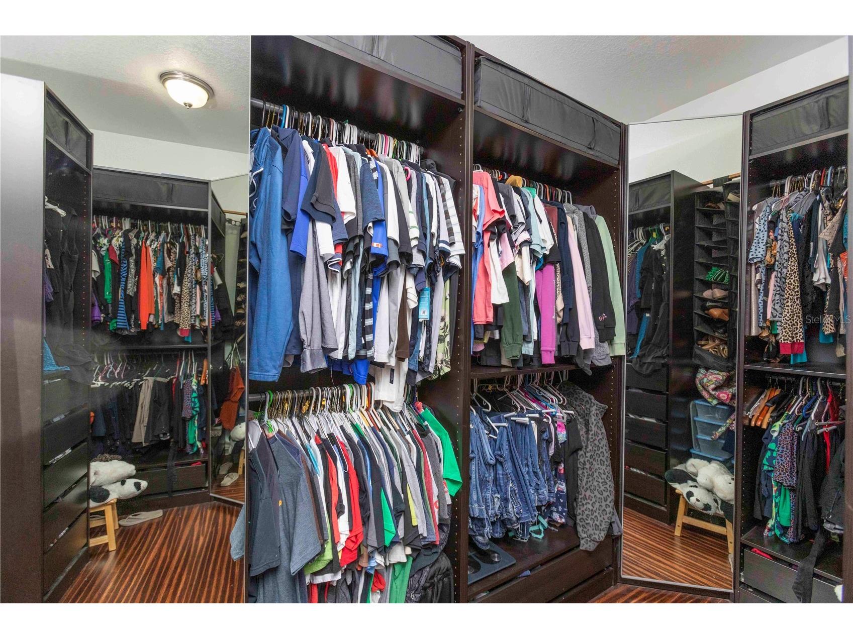 15141 Azra Drive Odessa FL 33556 W7885694 image29