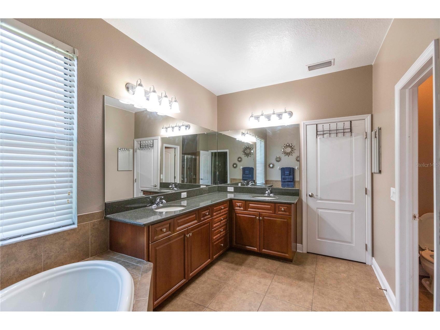 15141 Azra Drive Odessa FL 33556 W7885694 image31