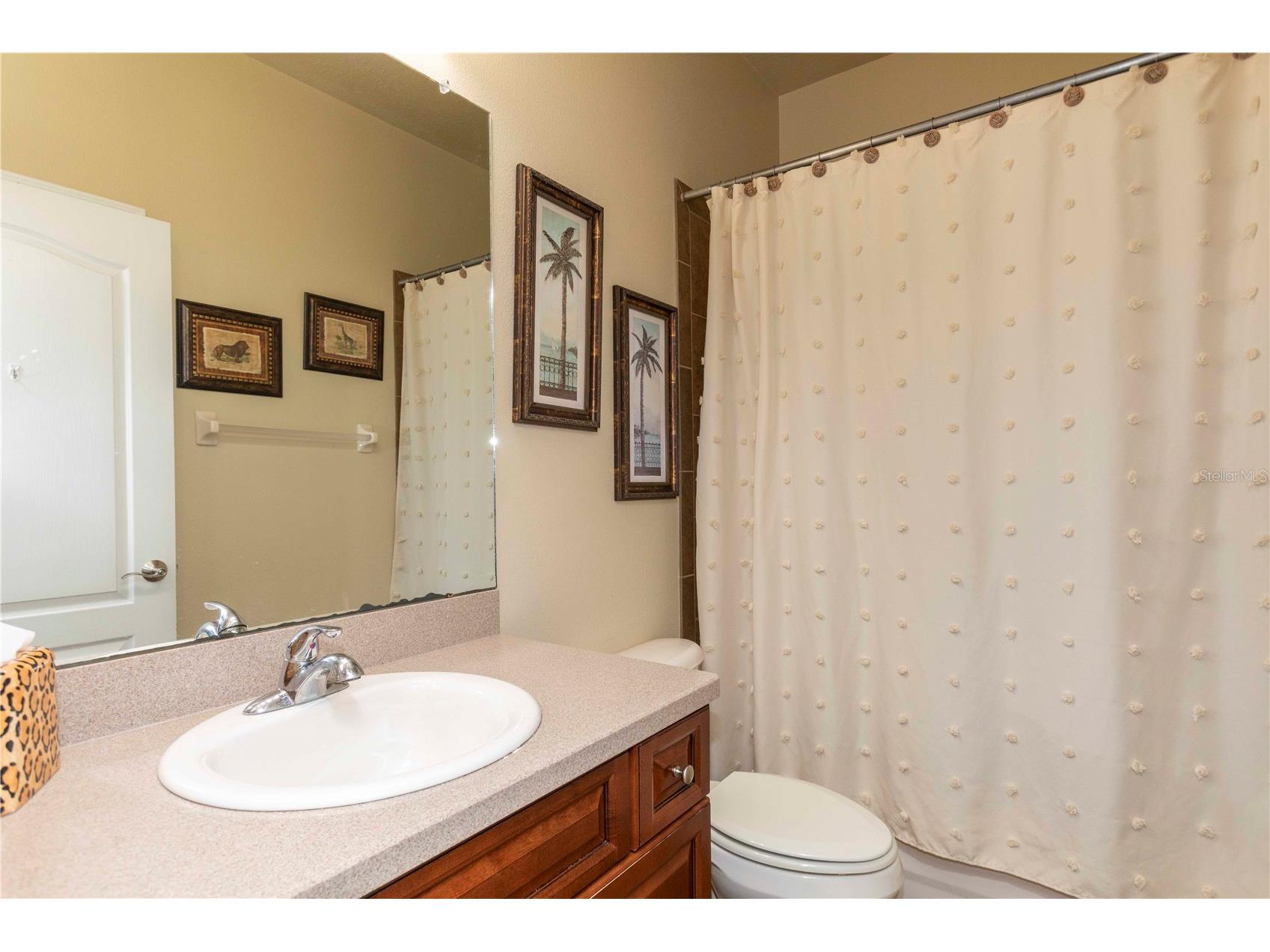 15141 Azra Drive Odessa FL 33556 W7885694 image37