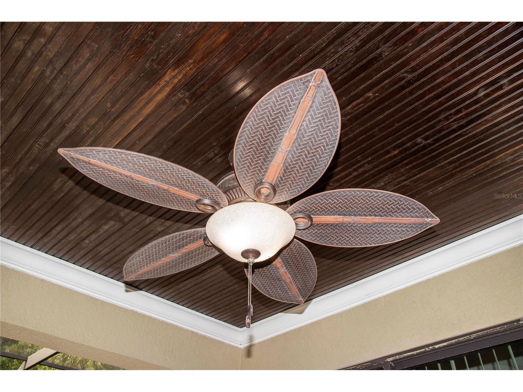 15141 Azra Drive Odessa FL 33556 W7885694 image49