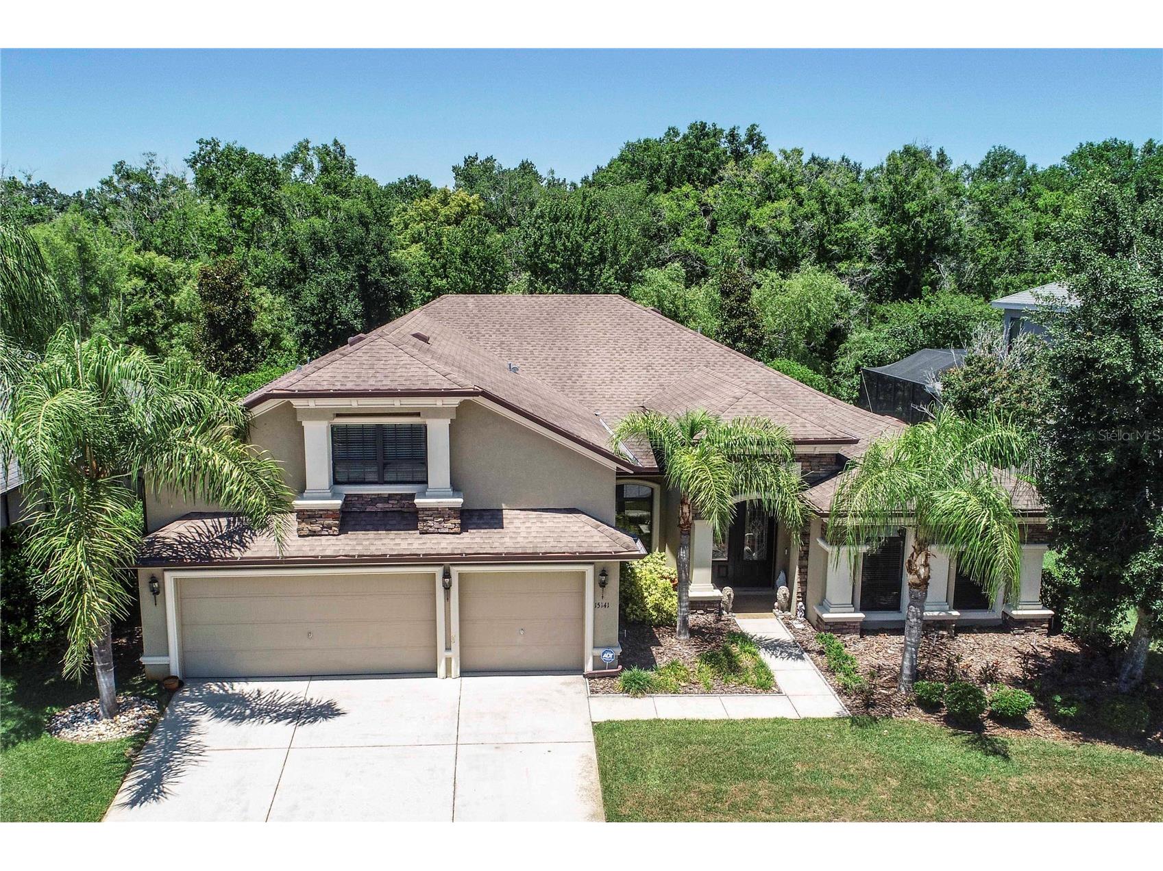15141 Azra Drive Odessa FL 33556 W7885694 image6