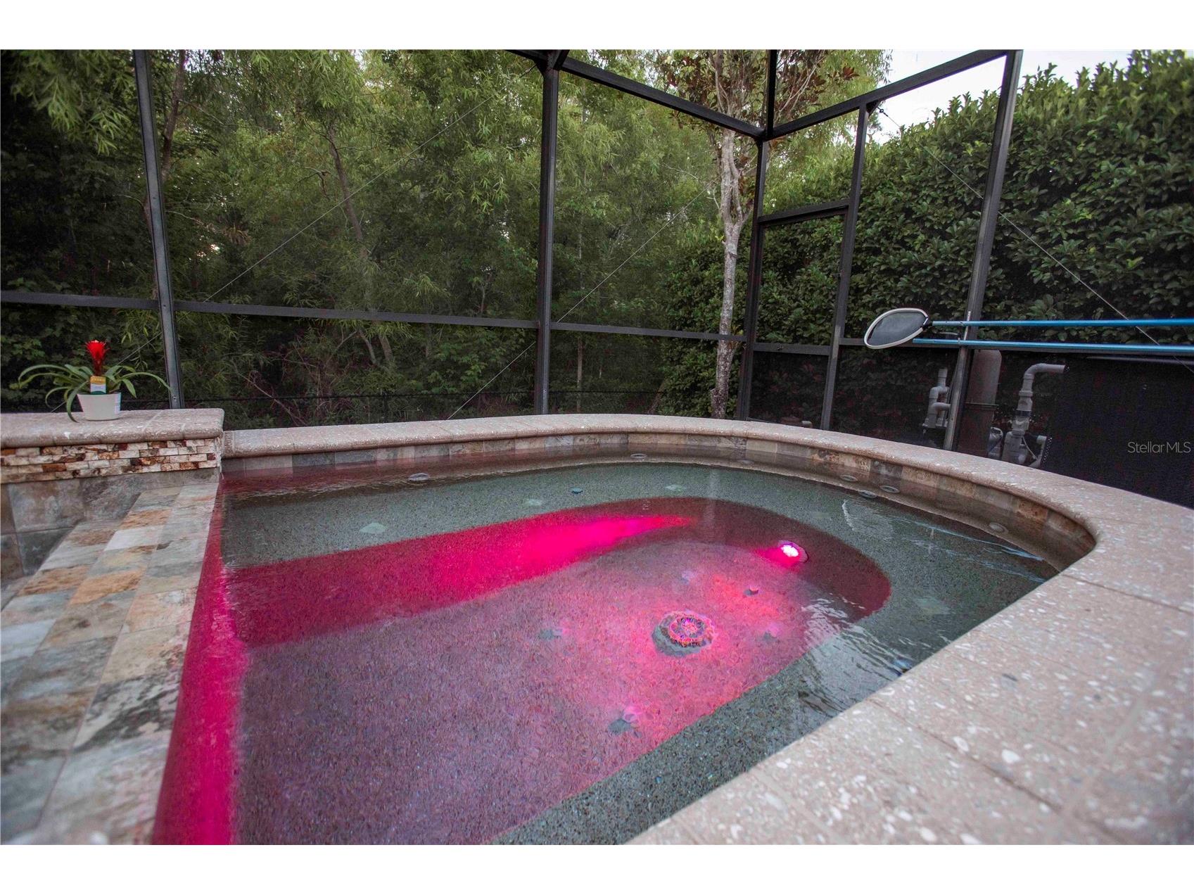 15141 Azra Drive Odessa FL 33556 W7885694 image60