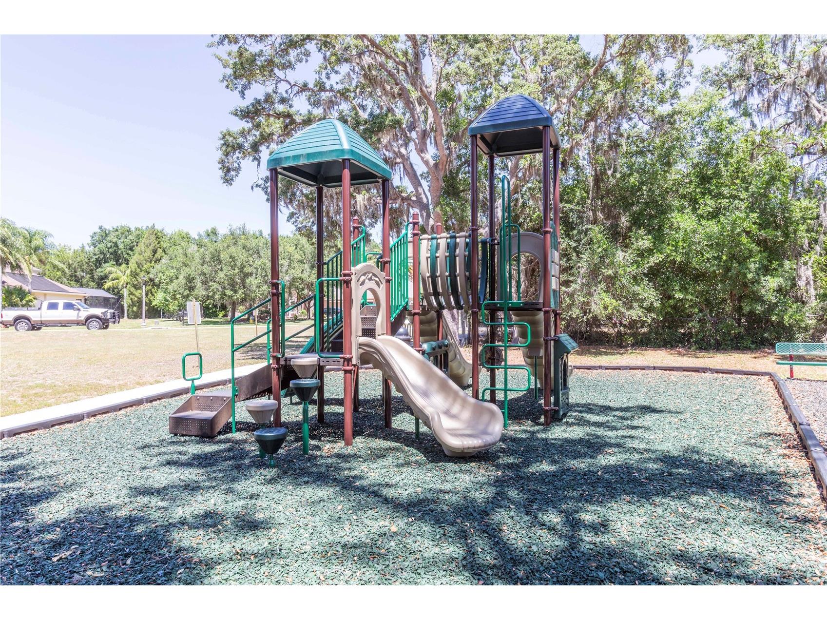 15141 Azra Drive Odessa FL 33556 W7885694 image73