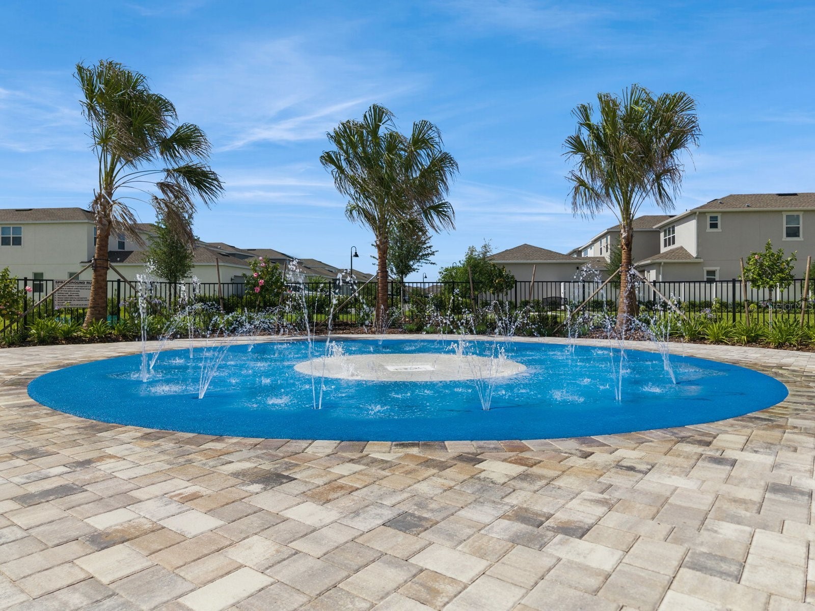 15143 Blue Peacock Lane Winter Garden FL 34787 O6414996 image60