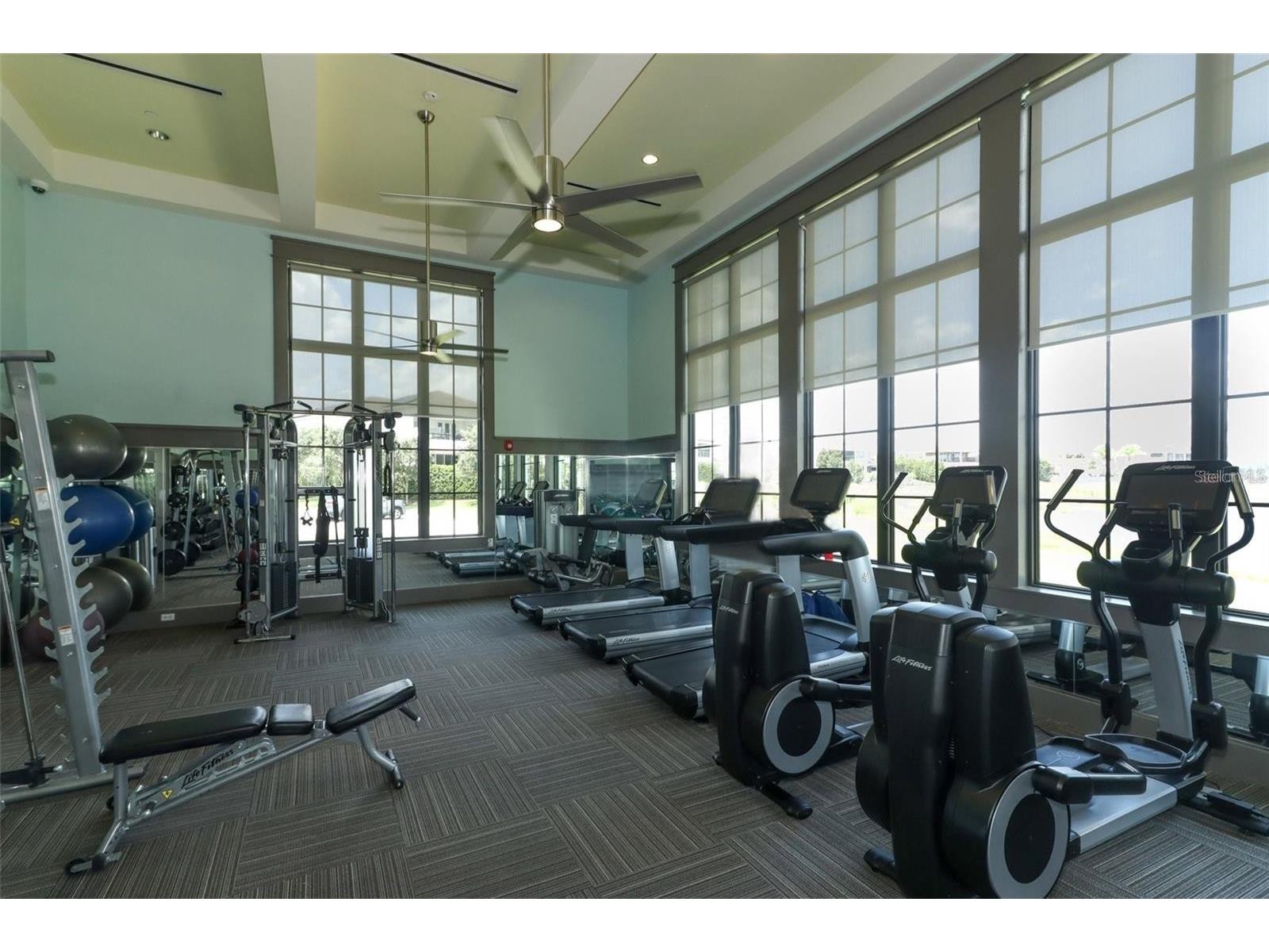 15149 Canoe Place Winter Garden FL 34787 O6412776 image51
