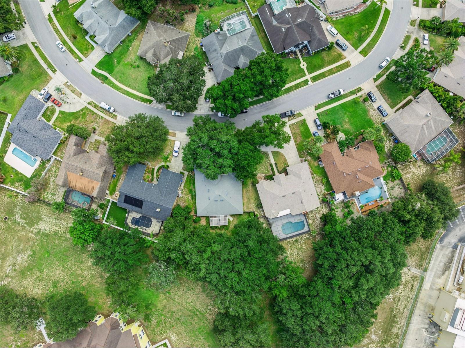 1515 Acropolis Circle Ocoee FL 34761 G5114157 image43