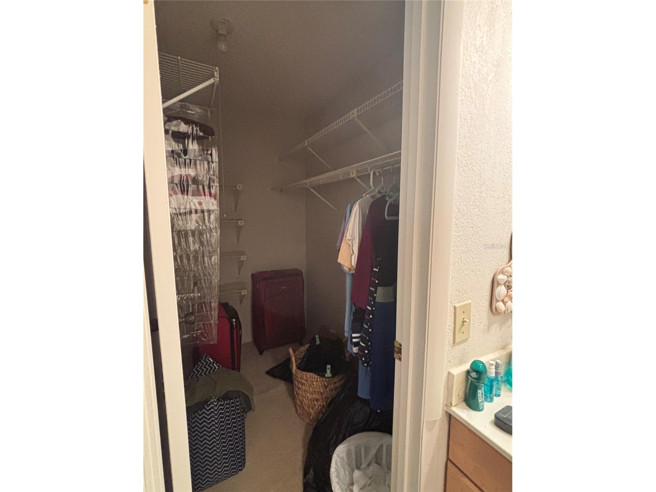 1515 Bayshore Boulevard #26 Dunedin FL 34698 TB8526674 image12