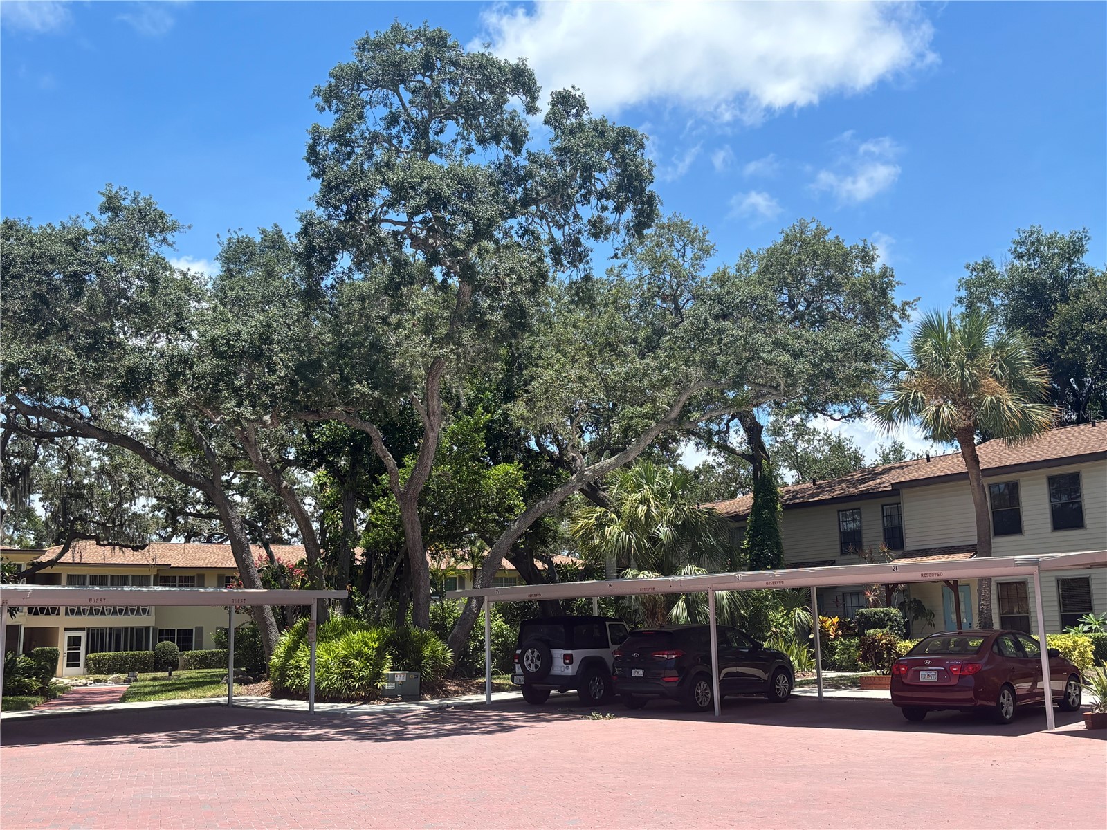 1515 Bayshore Boulevard #26 Dunedin FL 34698 TB8526674 image2
