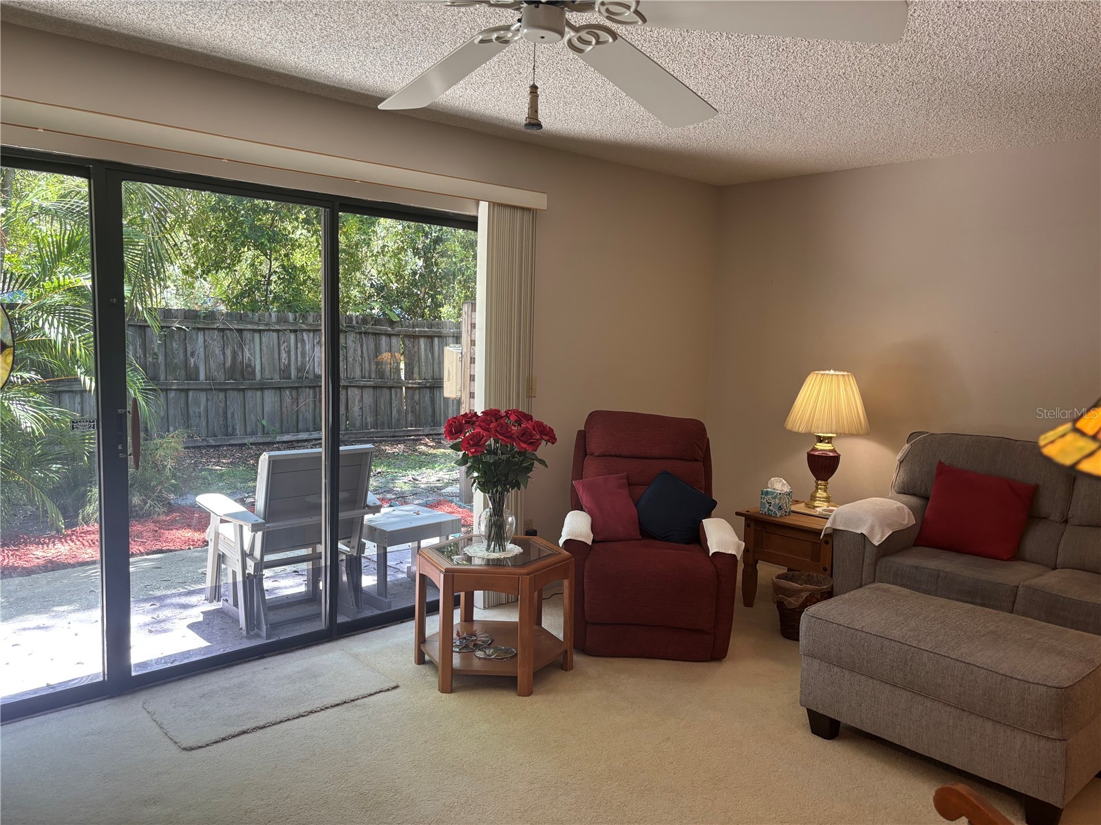 1515 Bayshore Boulevard #26 Dunedin FL 34698 TB8526674 image4