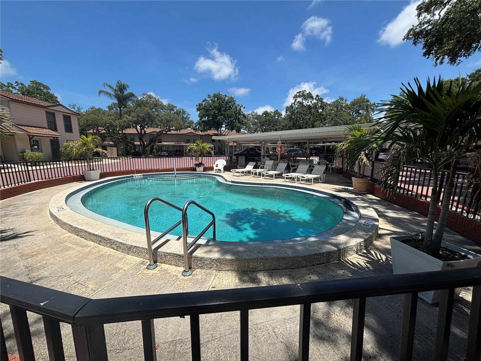 1515 Bayshore Boulevard #26 Dunedin FL 34698 TB8526674 image7