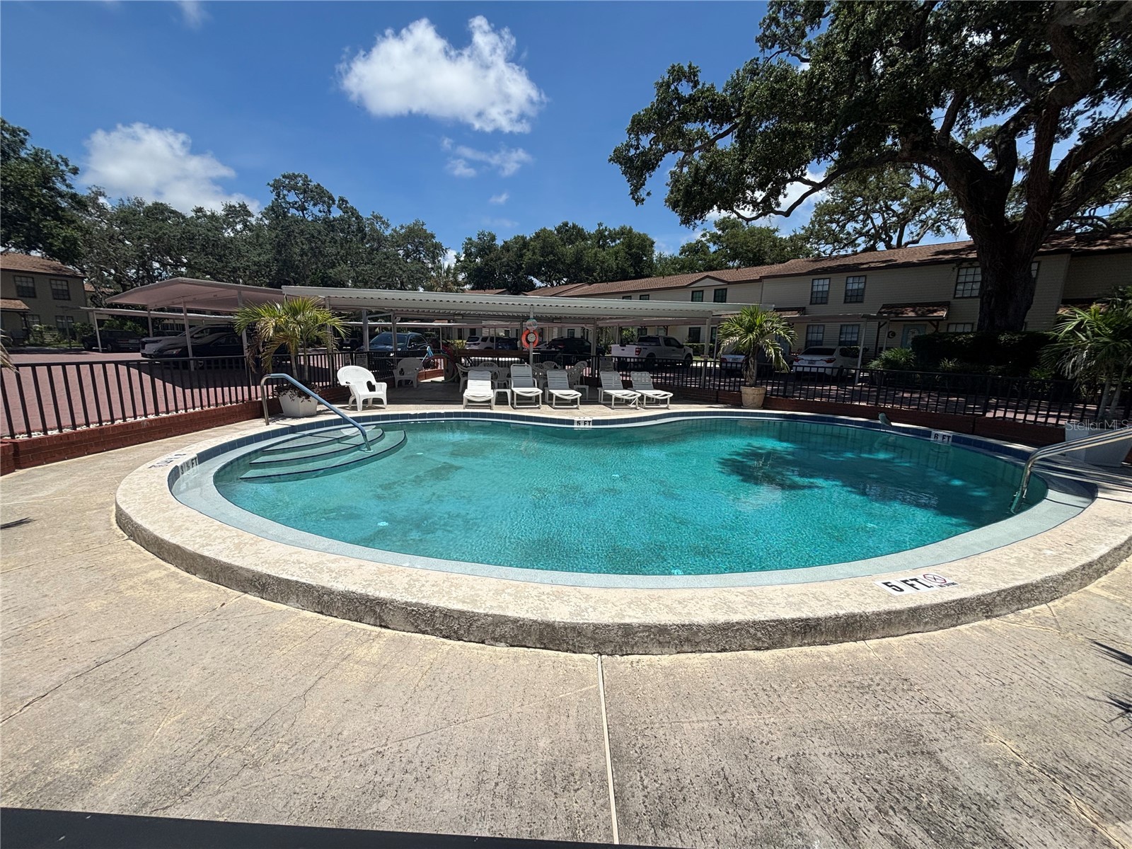 1515 Bayshore Boulevard #26 Dunedin FL 34698 TB8526674 image8