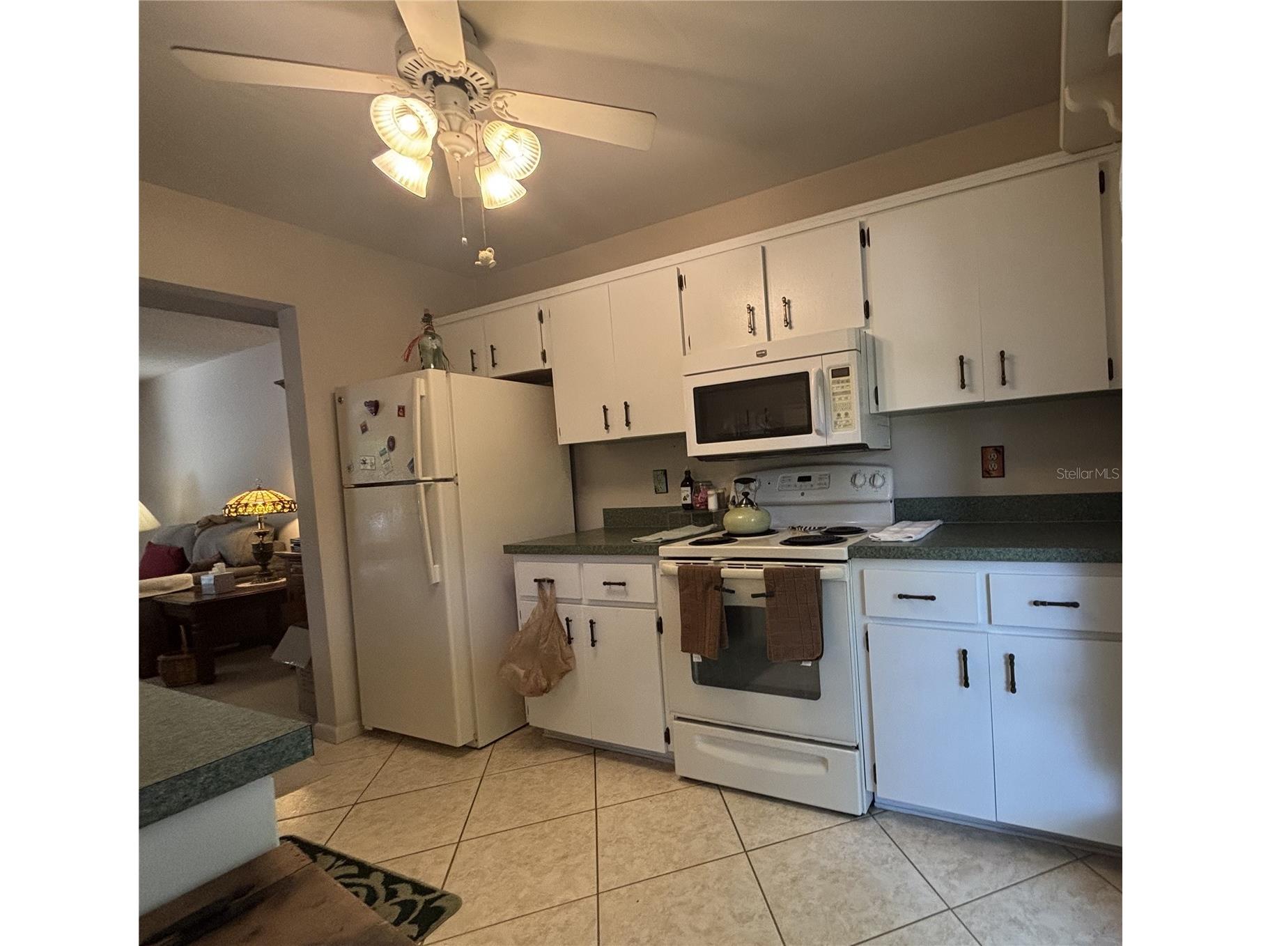 1515 Bayshore Boulevard #26 Dunedin FL 34698 TB8526674 image9