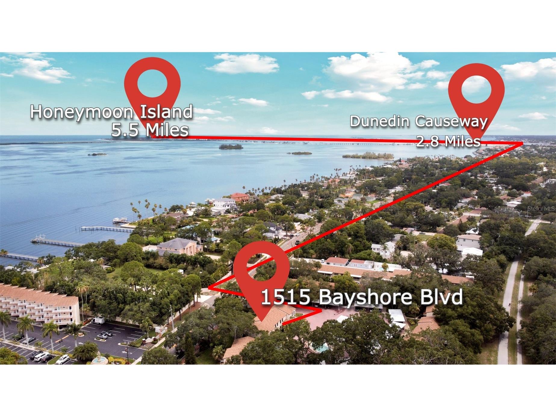 1515 Bayshore Boulevard #33 Dunedin FL 34698 TB8427794 image21