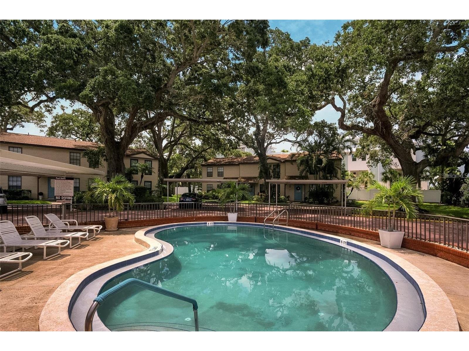 1515 Bayshore Boulevard #33 Dunedin FL 34698 TB8427794 image24