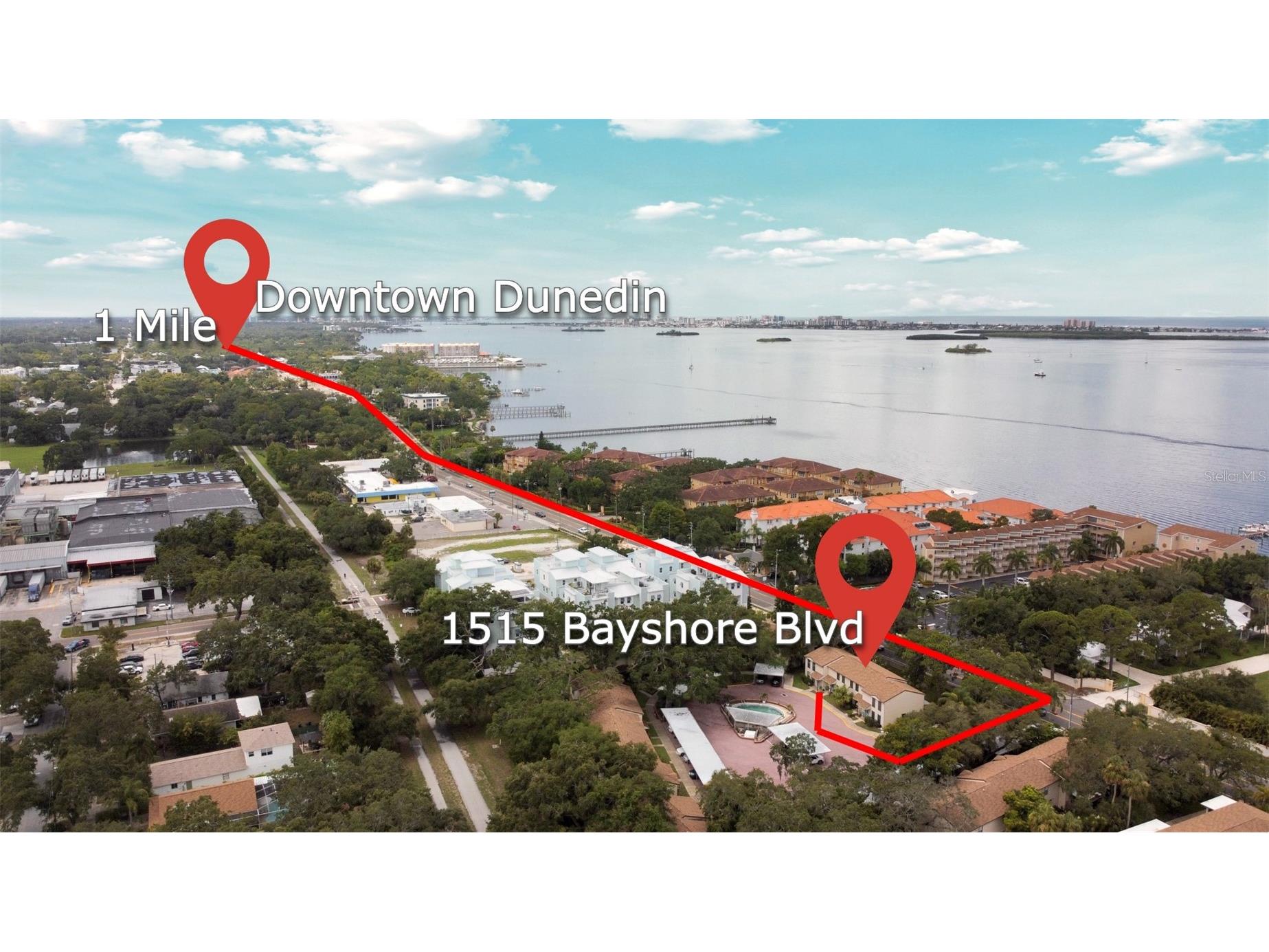 1515 Bayshore Boulevard #33 Dunedin FL 34698 TB8495074 image21
