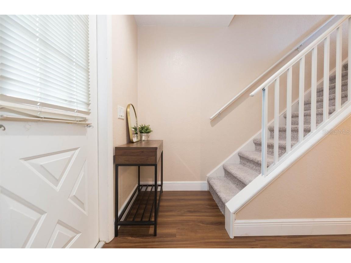 1515 Bayshore Boulevard #34 Dunedin FL 34698 TB8432782 image14