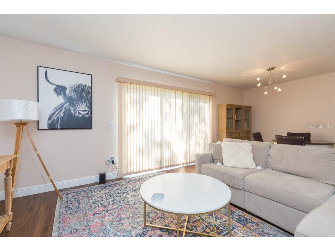 1515 Bayshore Boulevard #34 Dunedin FL 34698 TB8432782 image21