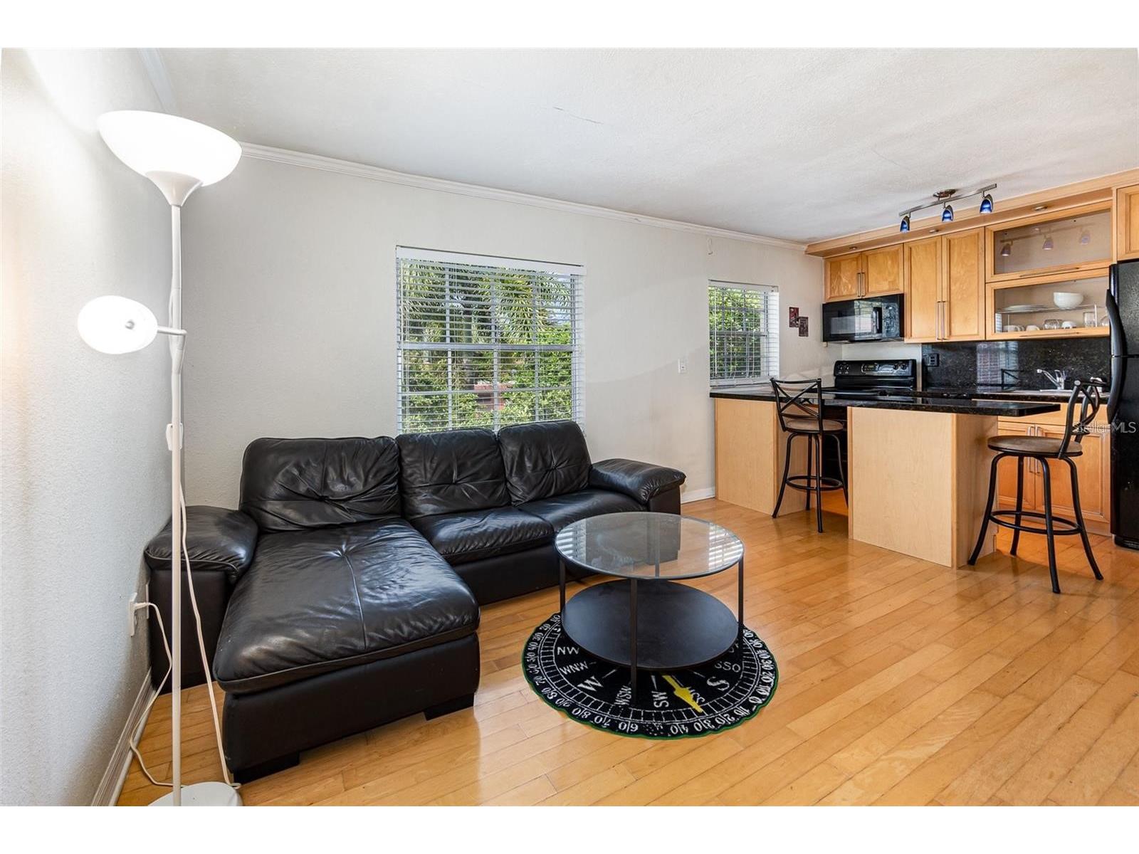 1515 Catherine Street #3 Orlando FL 32801 O6397130 image5