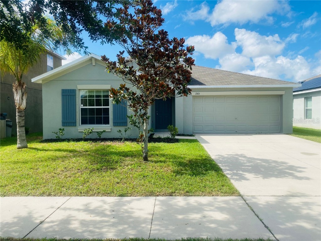 1515 Climbing Dayflower Drive Ruskin FL 33570 U8253099 image1
