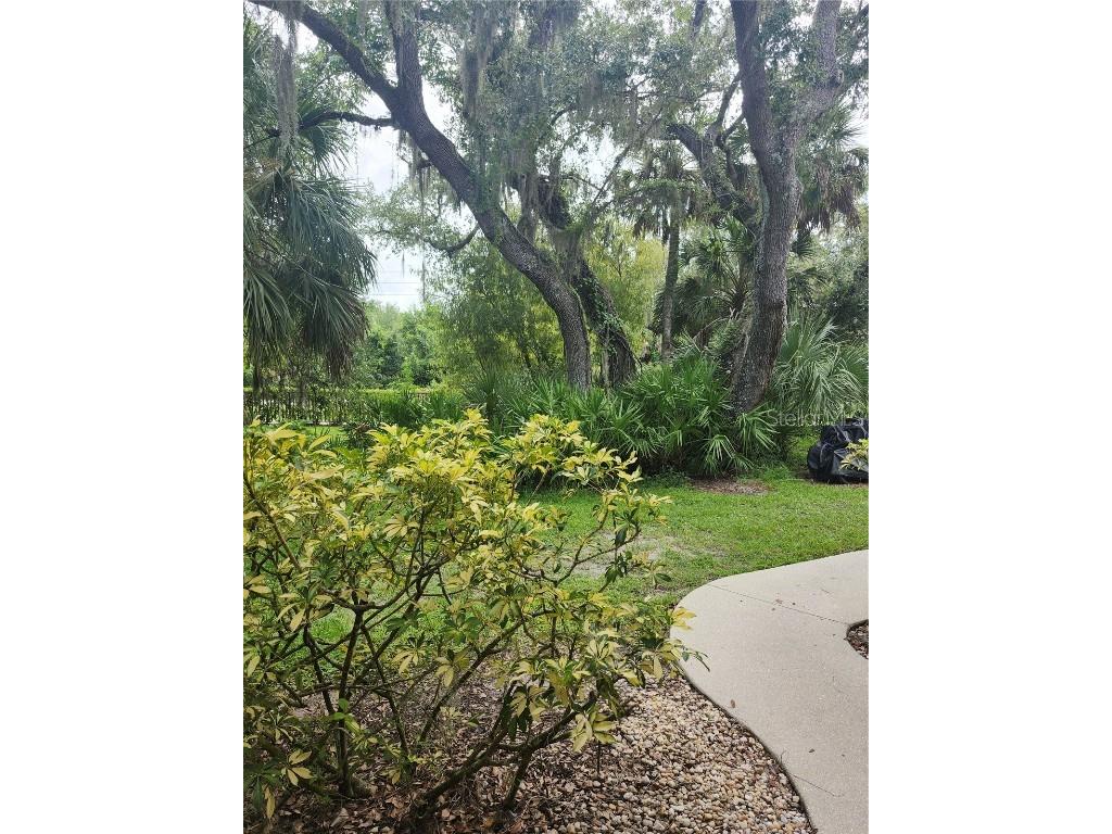 1515 Forrest Nelson Boulevard #J104 Port Charlotte FL 33952 C7513865 image21