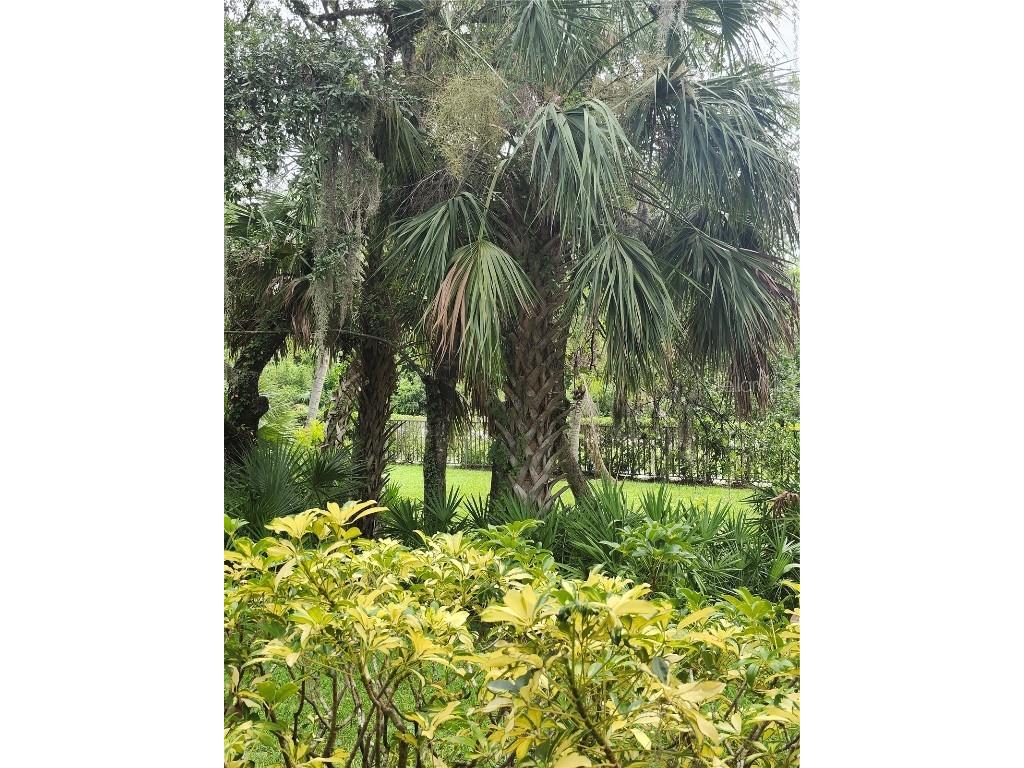 1515 Forrest Nelson Boulevard #J104 Port Charlotte FL 33952 C7513865 image22